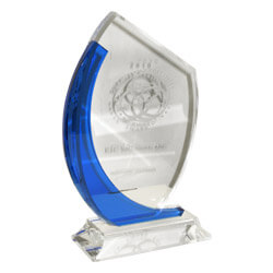 about-award-250